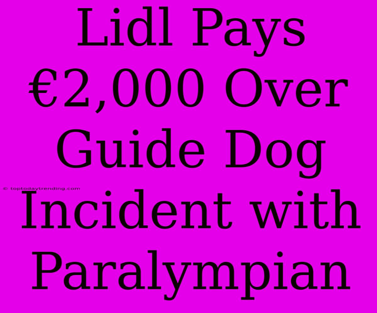 Lidl Pays €2,000 Over Guide Dog Incident With Paralympian