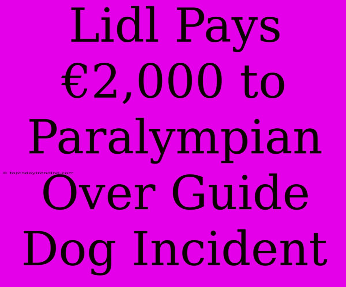 Lidl Pays €2,000 To Paralympian Over Guide Dog Incident