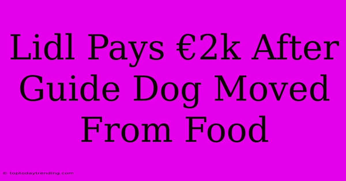 Lidl Pays €2k After Guide Dog Moved From Food