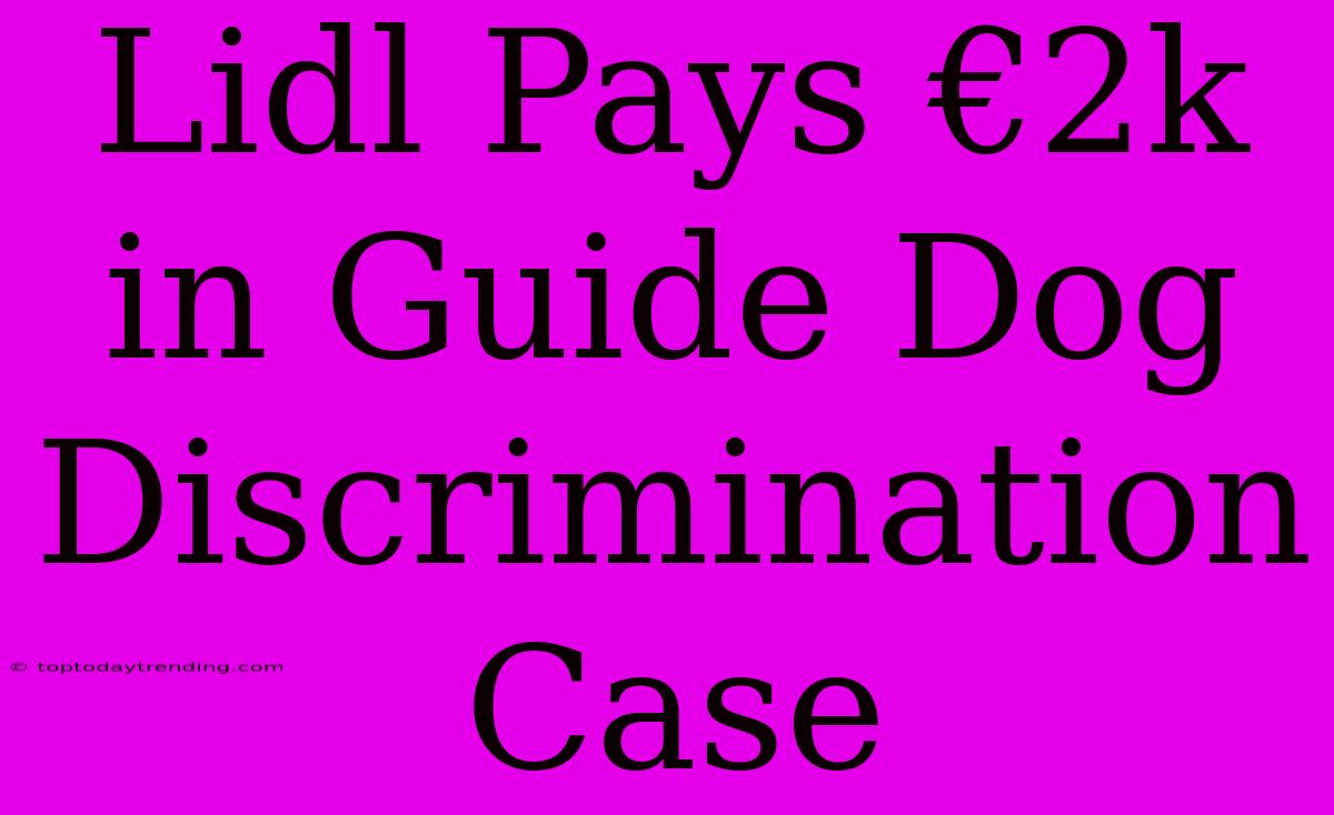 Lidl Pays €2k In Guide Dog Discrimination Case