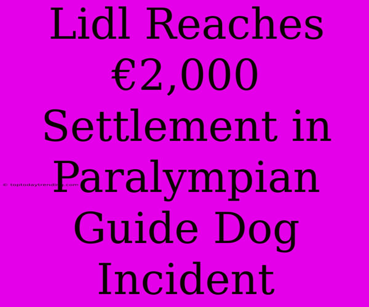 Lidl Reaches €2,000 Settlement In Paralympian Guide Dog Incident