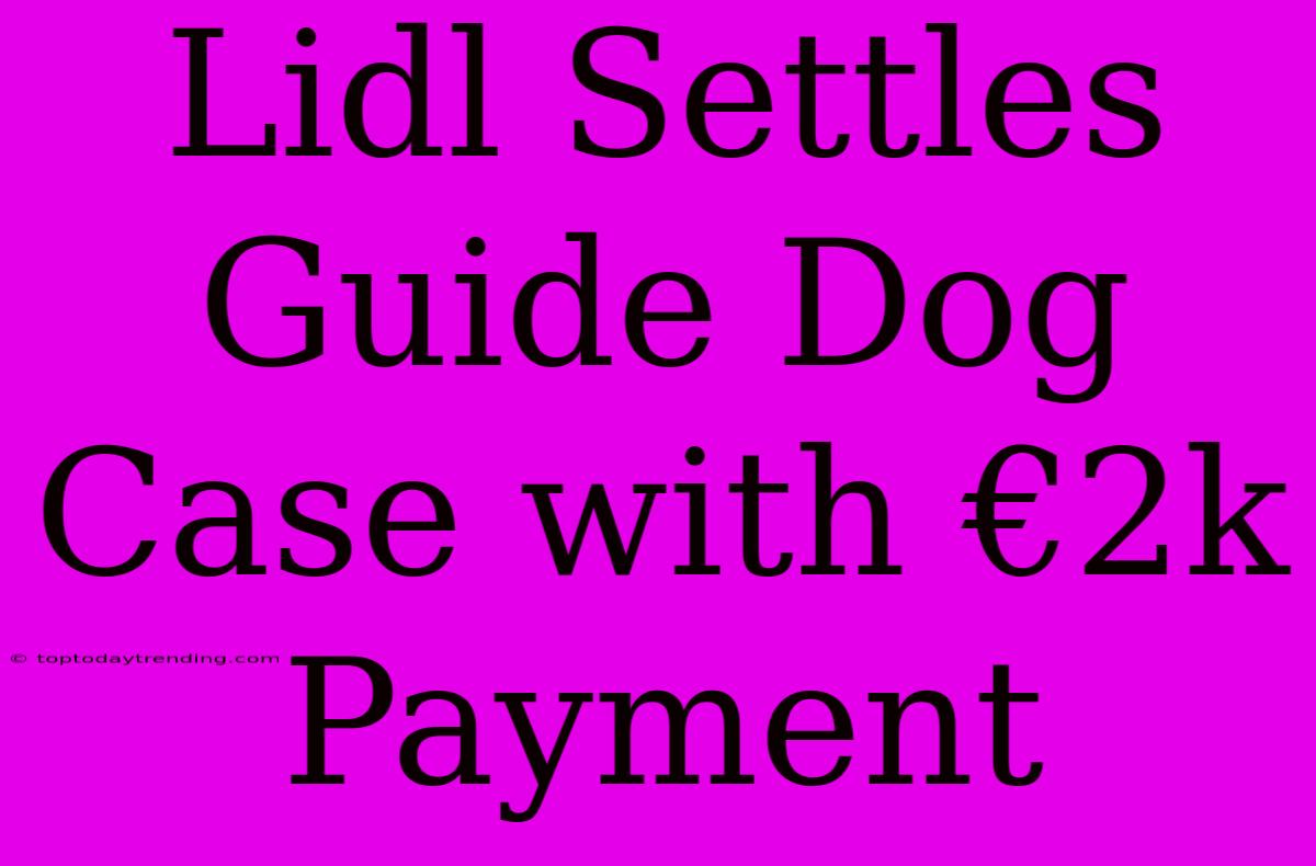 Lidl Settles Guide Dog Case With €2k Payment