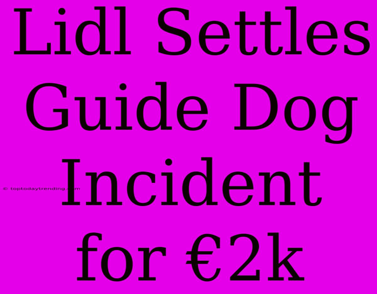 Lidl Settles Guide Dog Incident For €2k