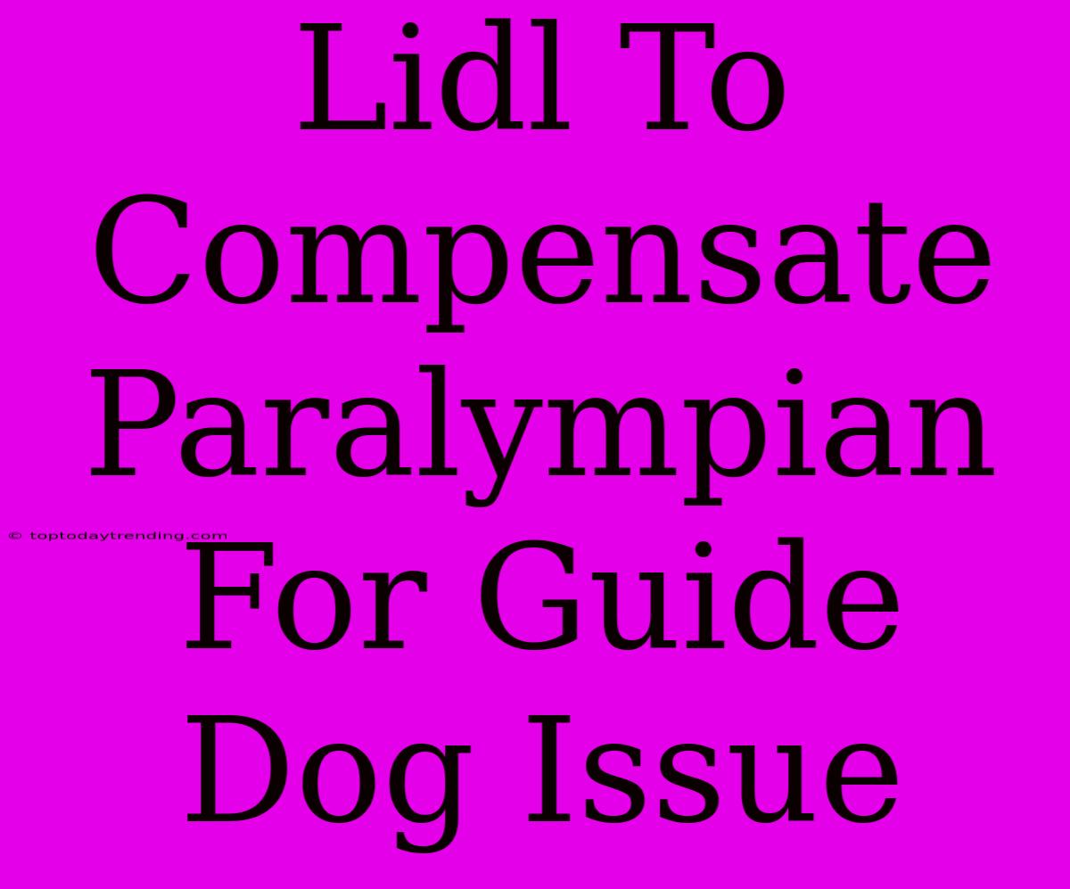 Lidl To Compensate Paralympian For Guide Dog Issue