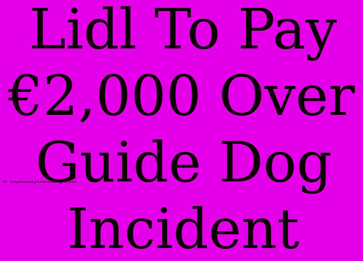 Lidl To Pay €2,000 Over Guide Dog Incident