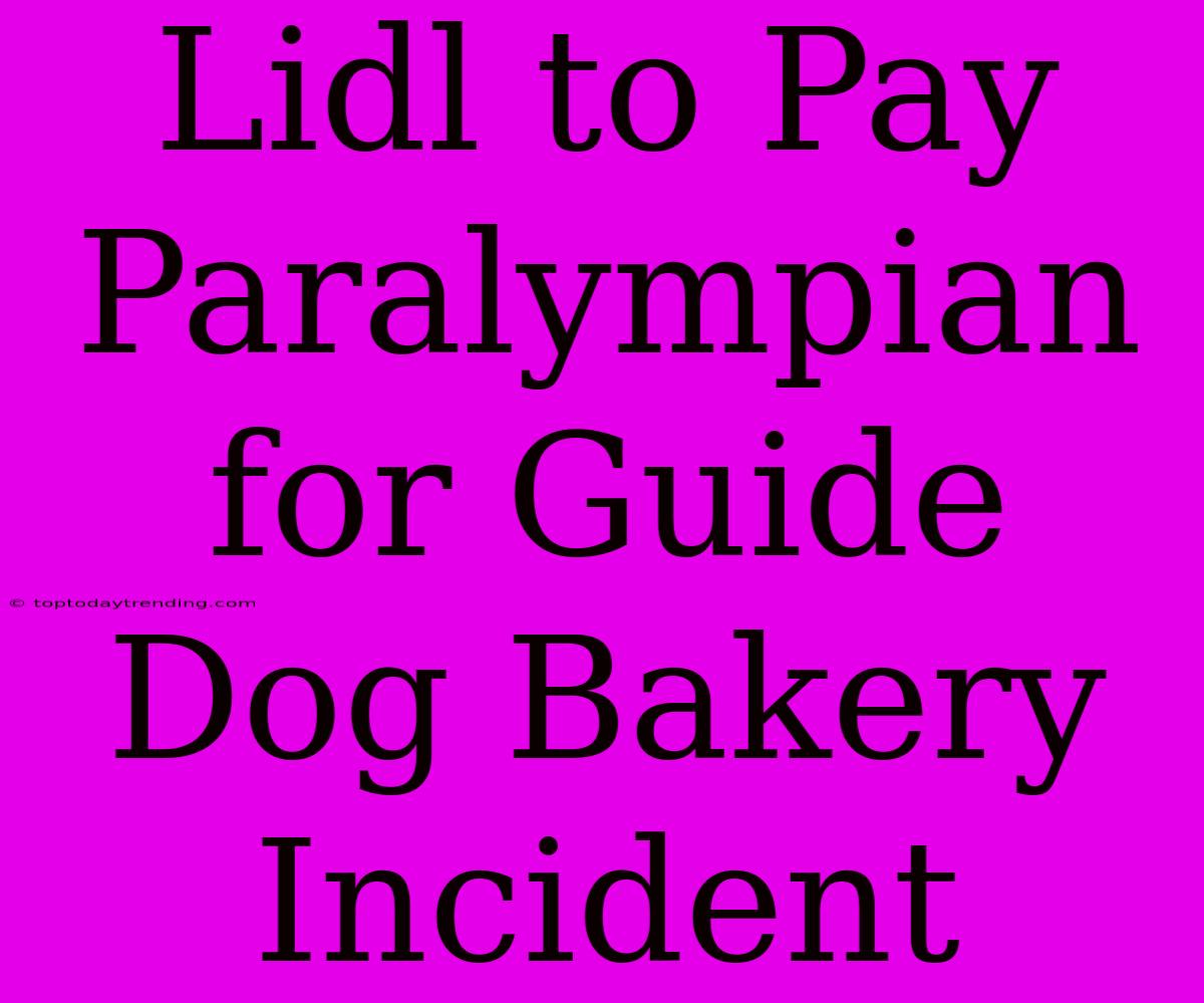 Lidl To Pay Paralympian For Guide Dog Bakery Incident