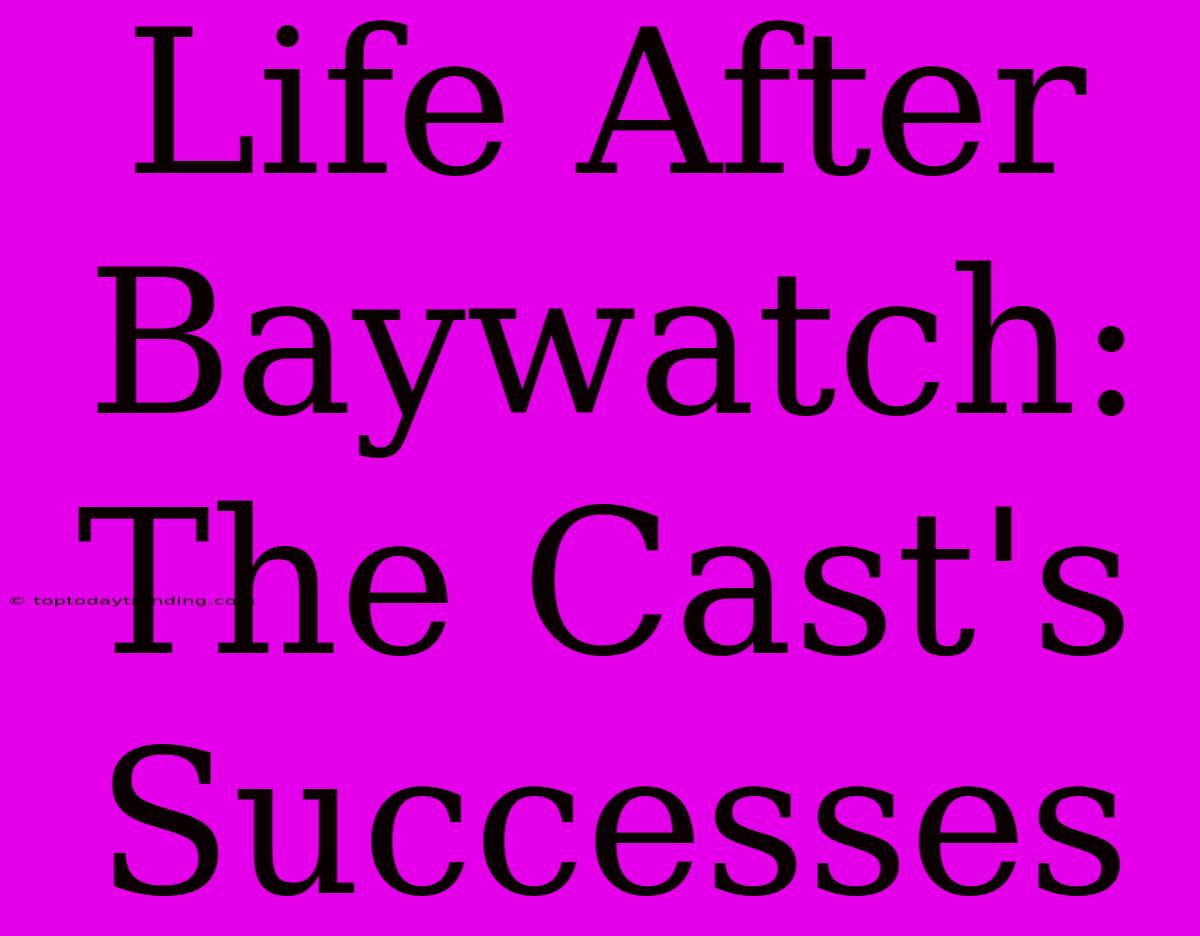 Life After Baywatch: The Cast's Successes