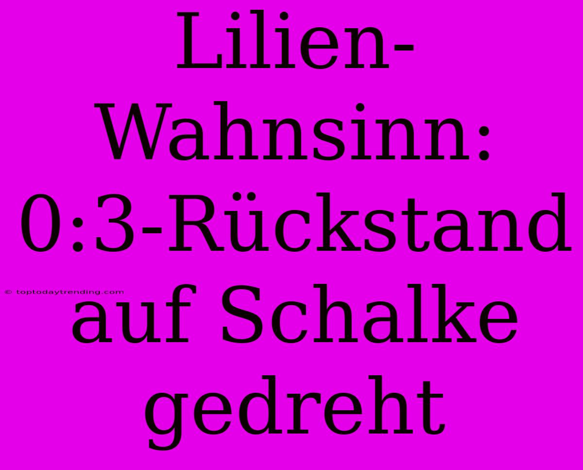 Lilien-Wahnsinn: 0:3-Rückstand Auf Schalke Gedreht