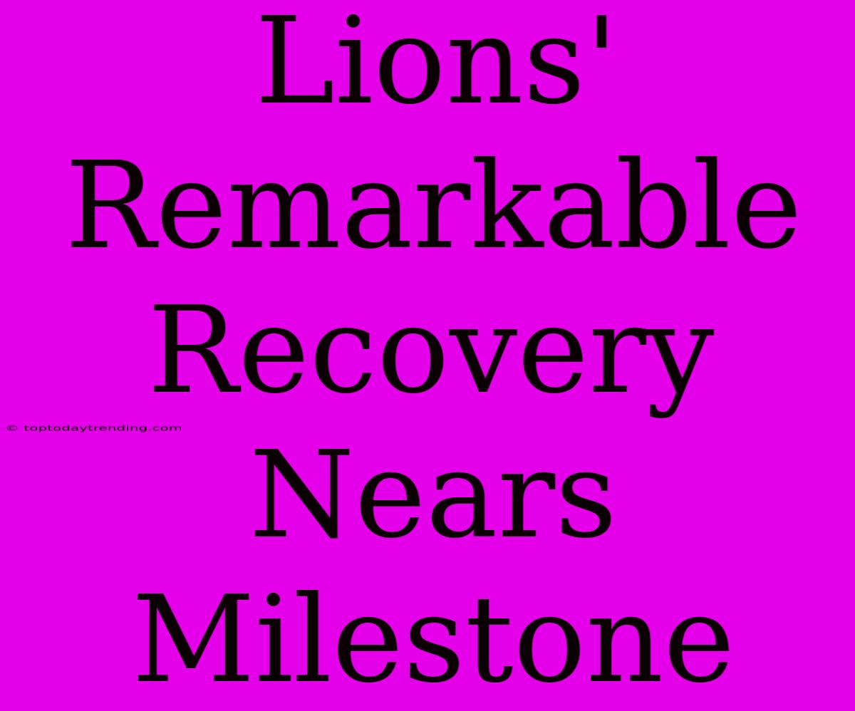 Lions' Remarkable Recovery Nears Milestone