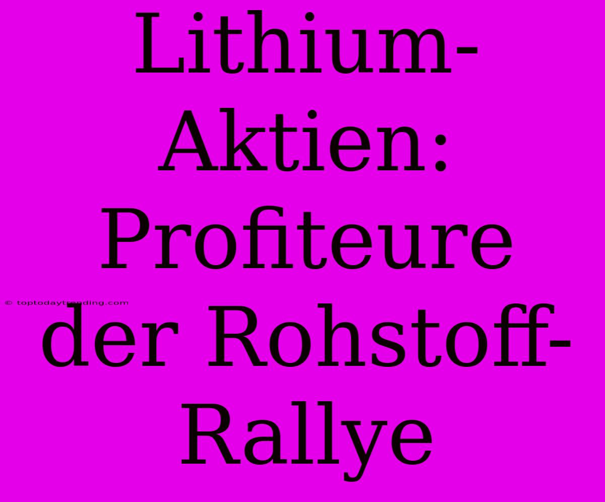 Lithium-Aktien: Profiteure Der Rohstoff-Rallye