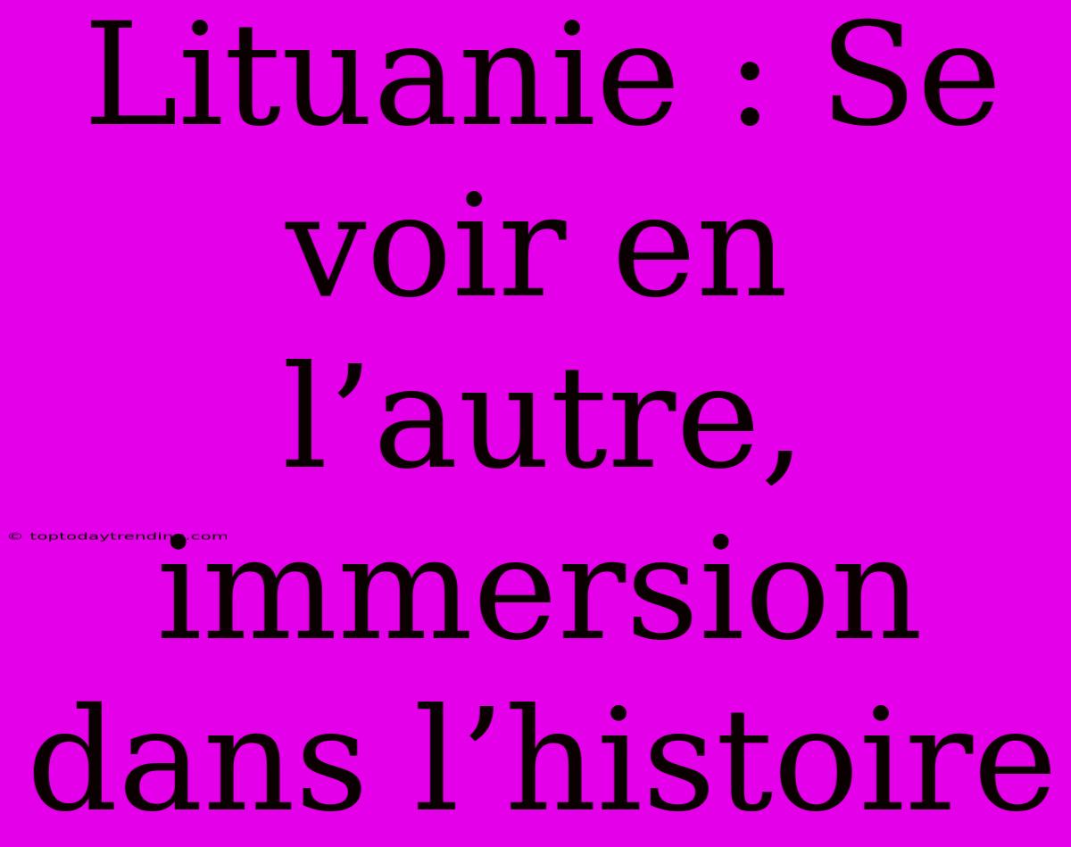 Lituanie : Se Voir En L’autre, Immersion Dans L’histoire