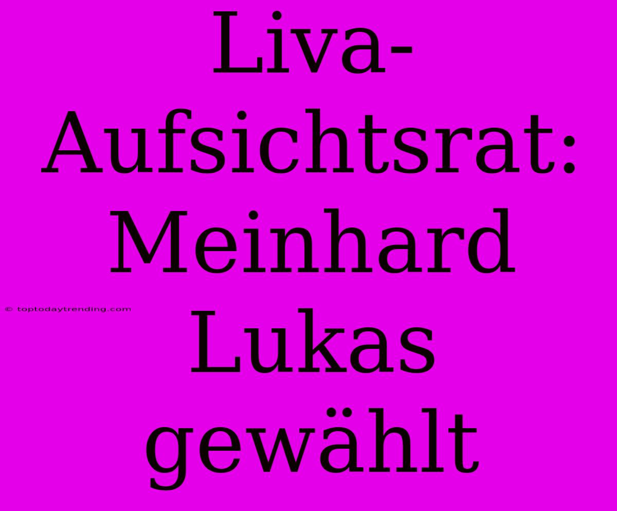 Liva-Aufsichtsrat: Meinhard Lukas Gewählt