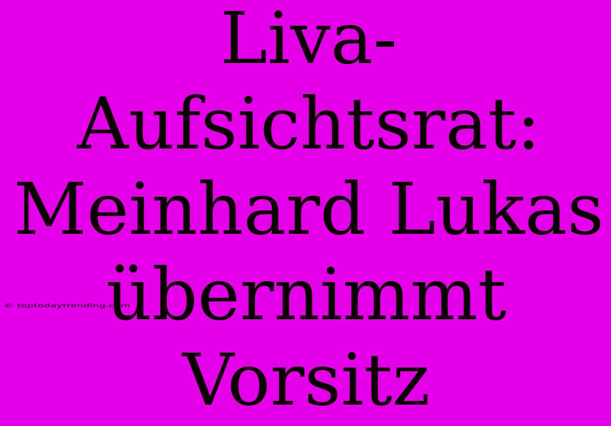 Liva-Aufsichtsrat: Meinhard Lukas Übernimmt Vorsitz