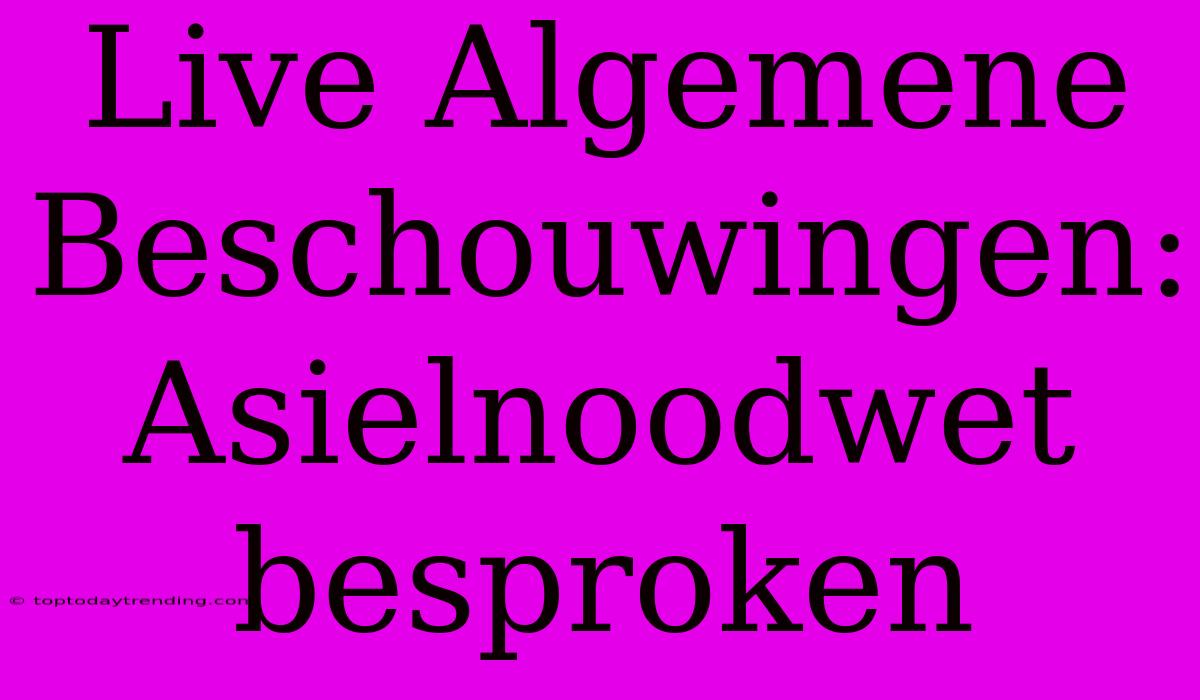 Live Algemene Beschouwingen: Asielnoodwet Besproken