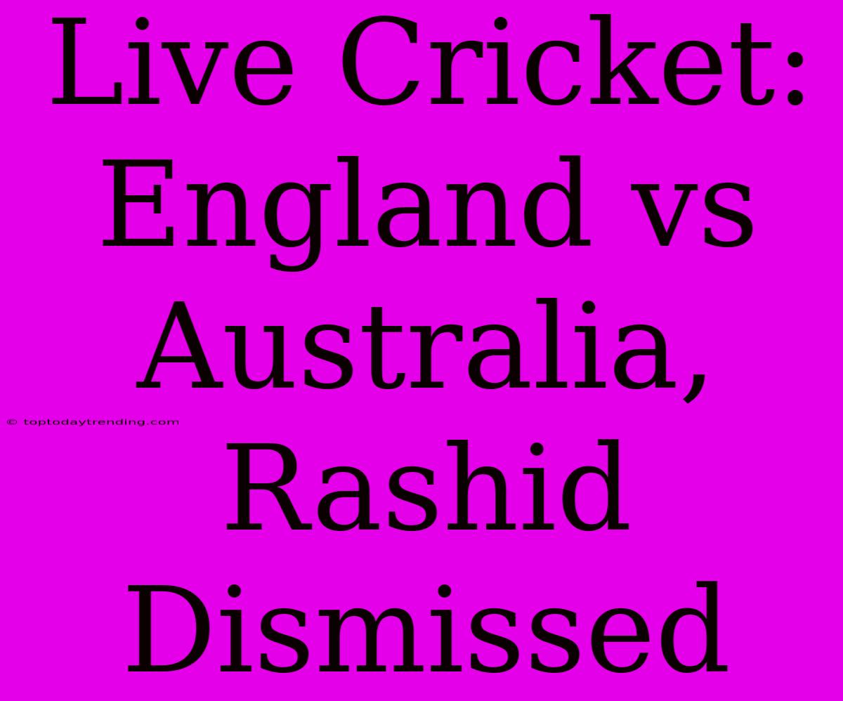 Live Cricket: England Vs Australia, Rashid Dismissed