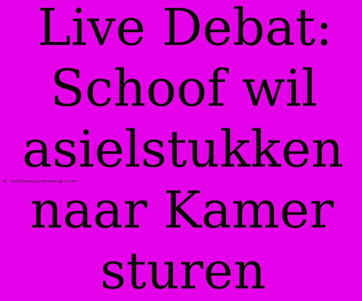 Live Debat: Schoof Wil Asielstukken Naar Kamer Sturen