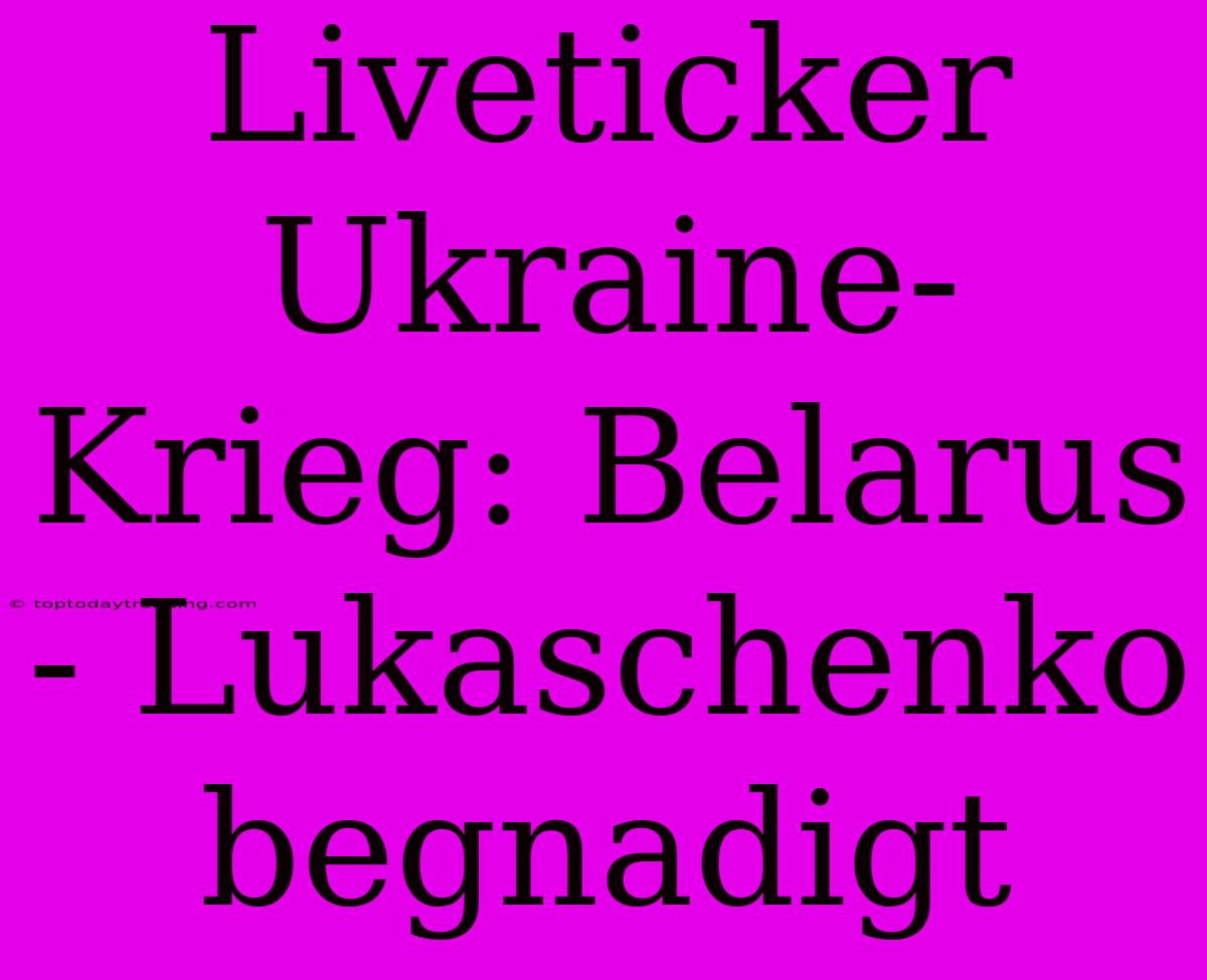 Liveticker Ukraine-Krieg: Belarus - Lukaschenko Begnadigt