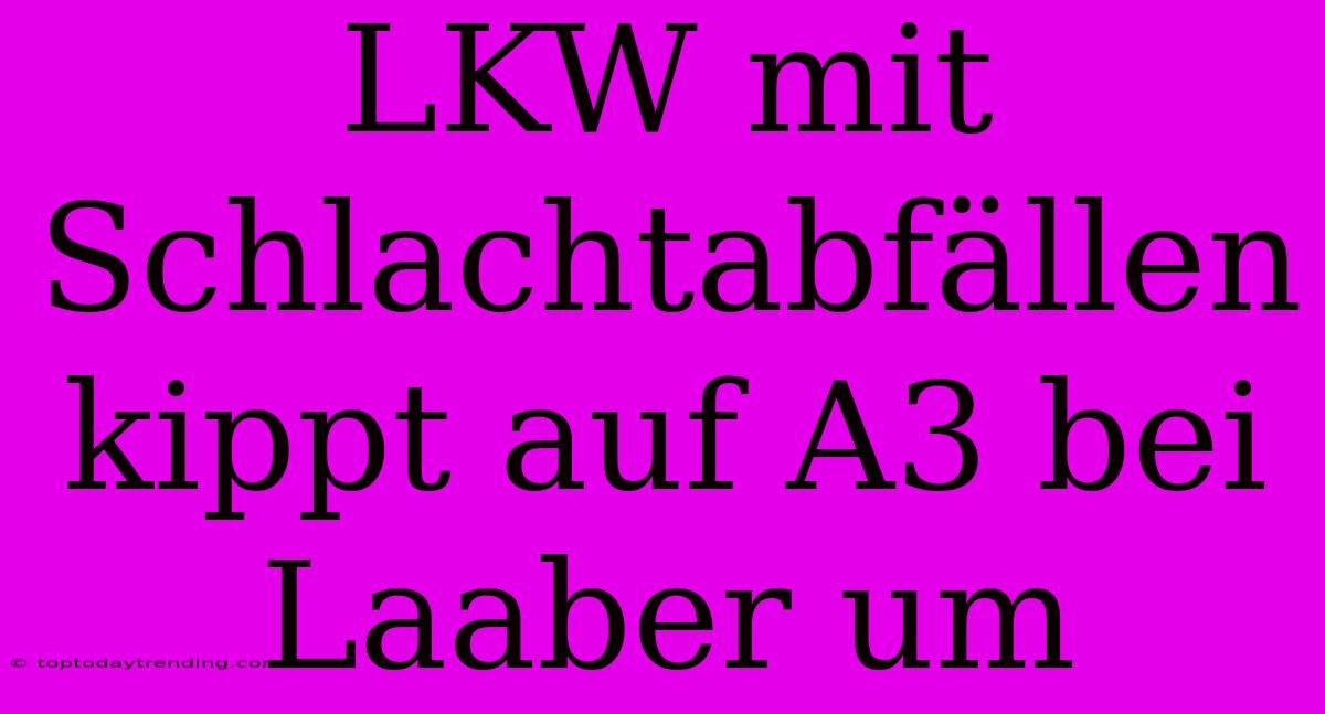 LKW Mit Schlachtabfällen Kippt Auf A3 Bei Laaber Um