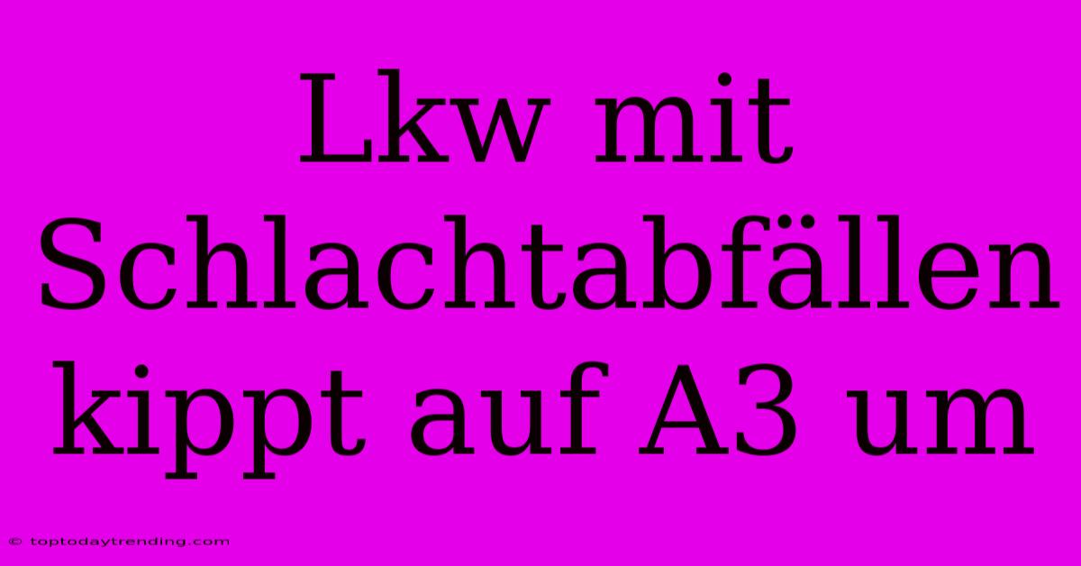 Lkw Mit Schlachtabfällen Kippt Auf A3 Um