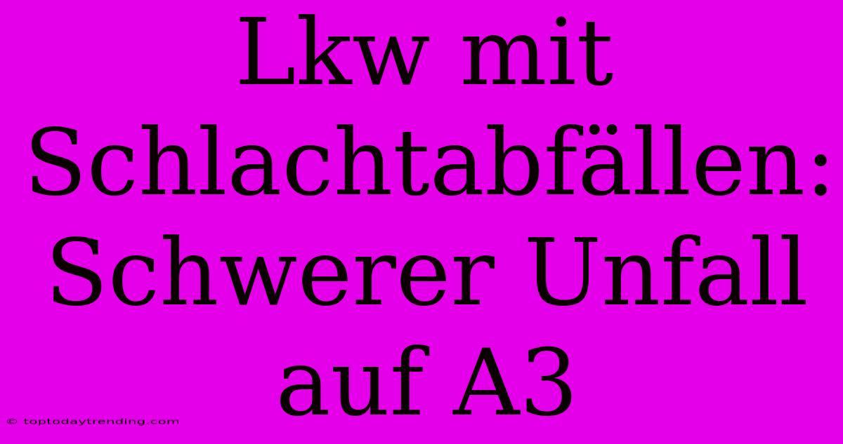 Lkw Mit Schlachtabfällen: Schwerer Unfall Auf A3