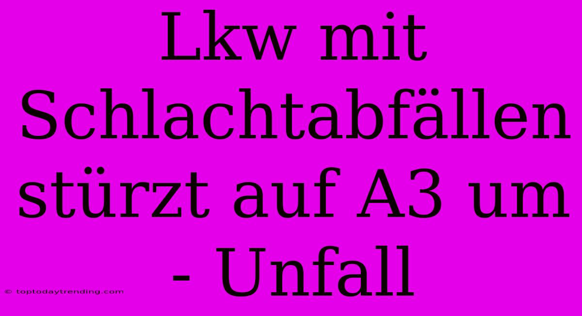 Lkw Mit Schlachtabfällen Stürzt Auf A3 Um - Unfall