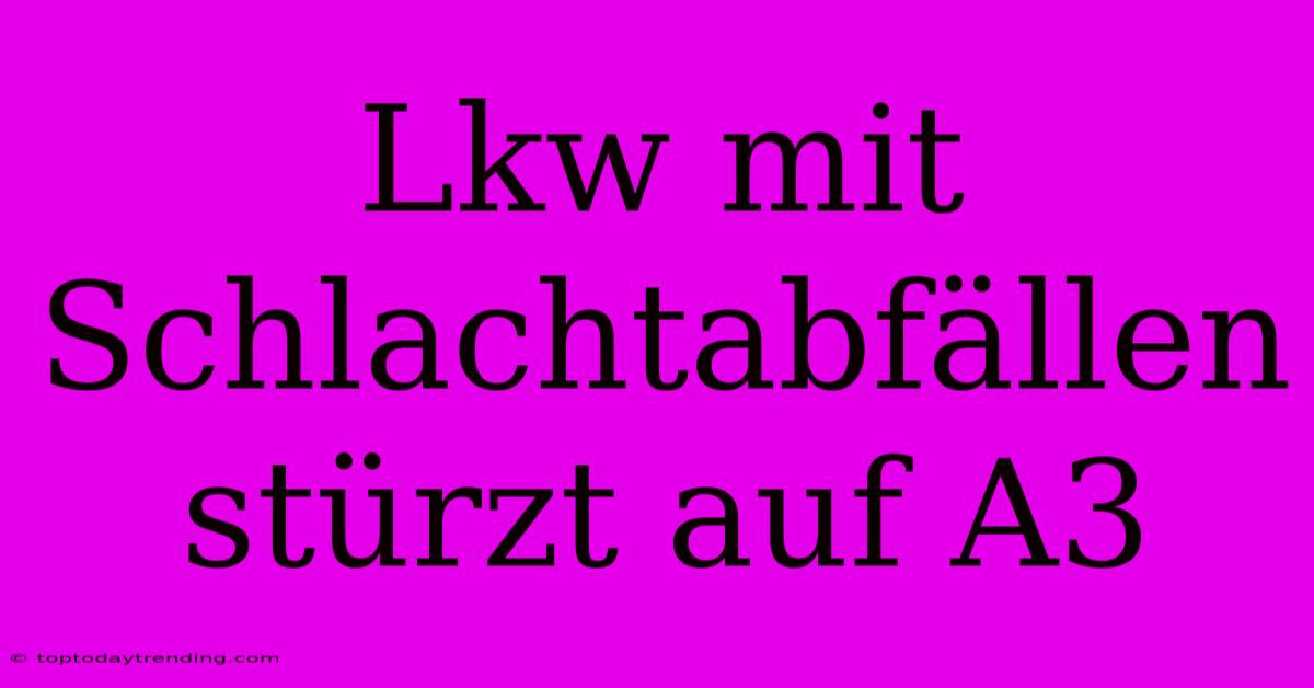 Lkw Mit Schlachtabfällen Stürzt Auf A3