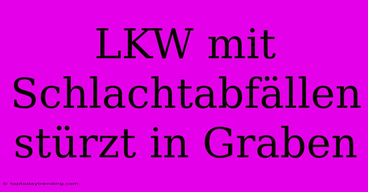 LKW Mit Schlachtabfällen Stürzt In Graben