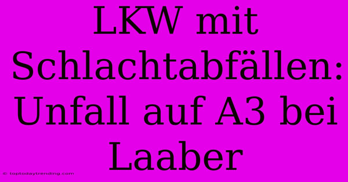 LKW Mit Schlachtabfällen: Unfall Auf A3 Bei Laaber