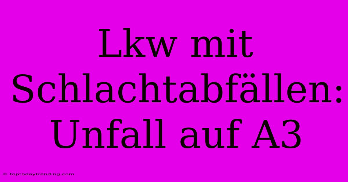 Lkw Mit Schlachtabfällen: Unfall Auf A3