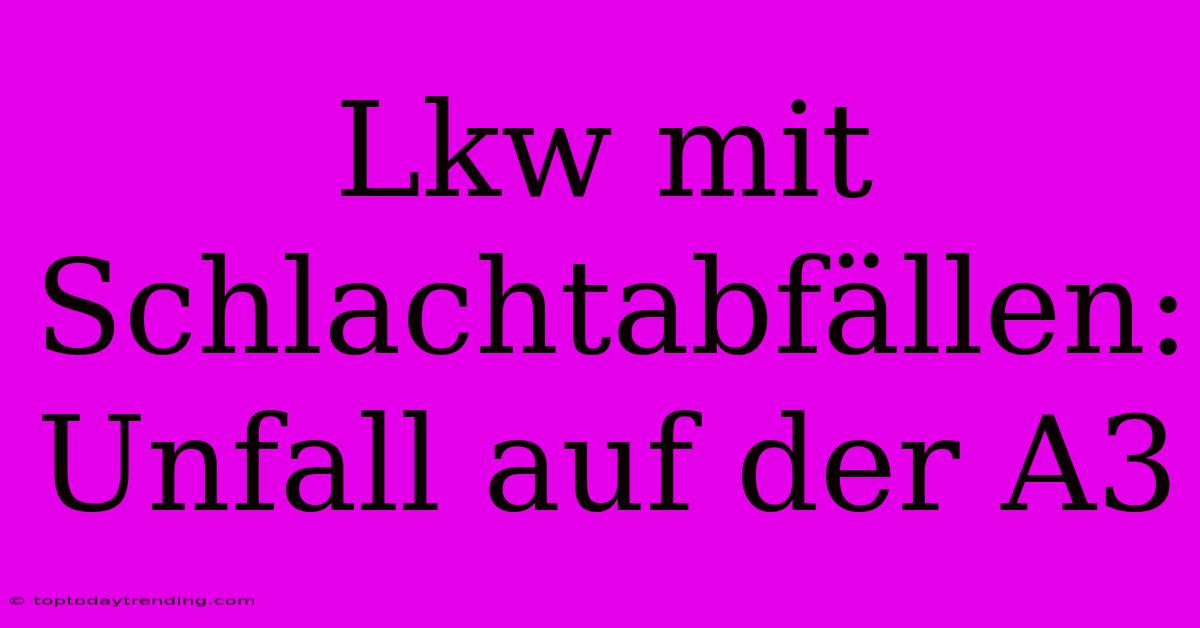 Lkw Mit Schlachtabfällen: Unfall Auf Der A3