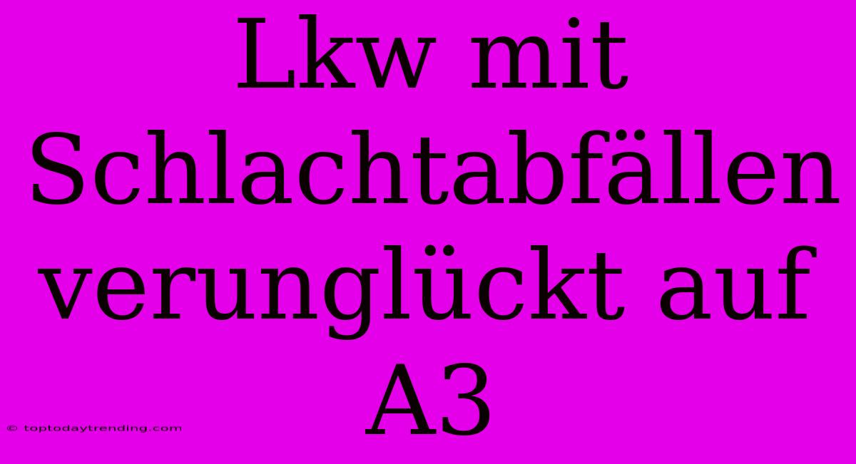 Lkw Mit Schlachtabfällen Verunglückt Auf A3