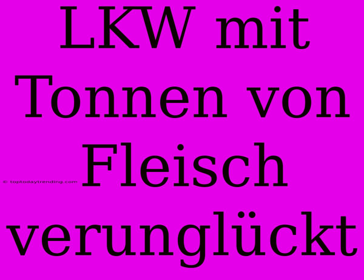 LKW Mit Tonnen Von Fleisch Verunglückt