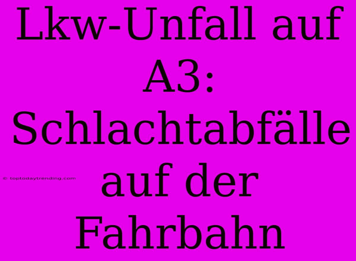 Lkw-Unfall Auf A3: Schlachtabfälle Auf Der Fahrbahn