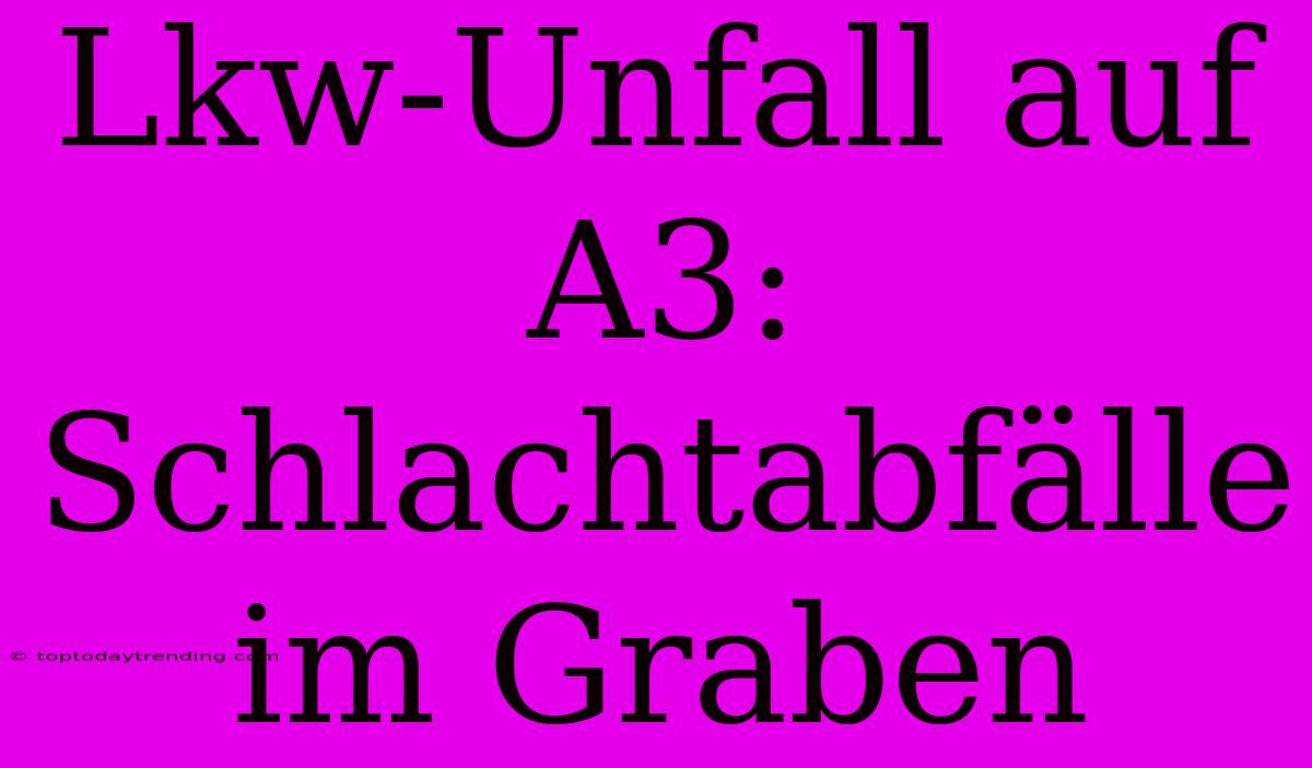 Lkw-Unfall Auf A3: Schlachtabfälle Im Graben