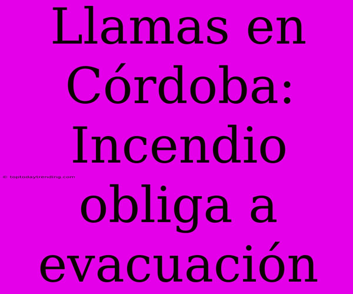 Llamas En Córdoba: Incendio Obliga A Evacuación