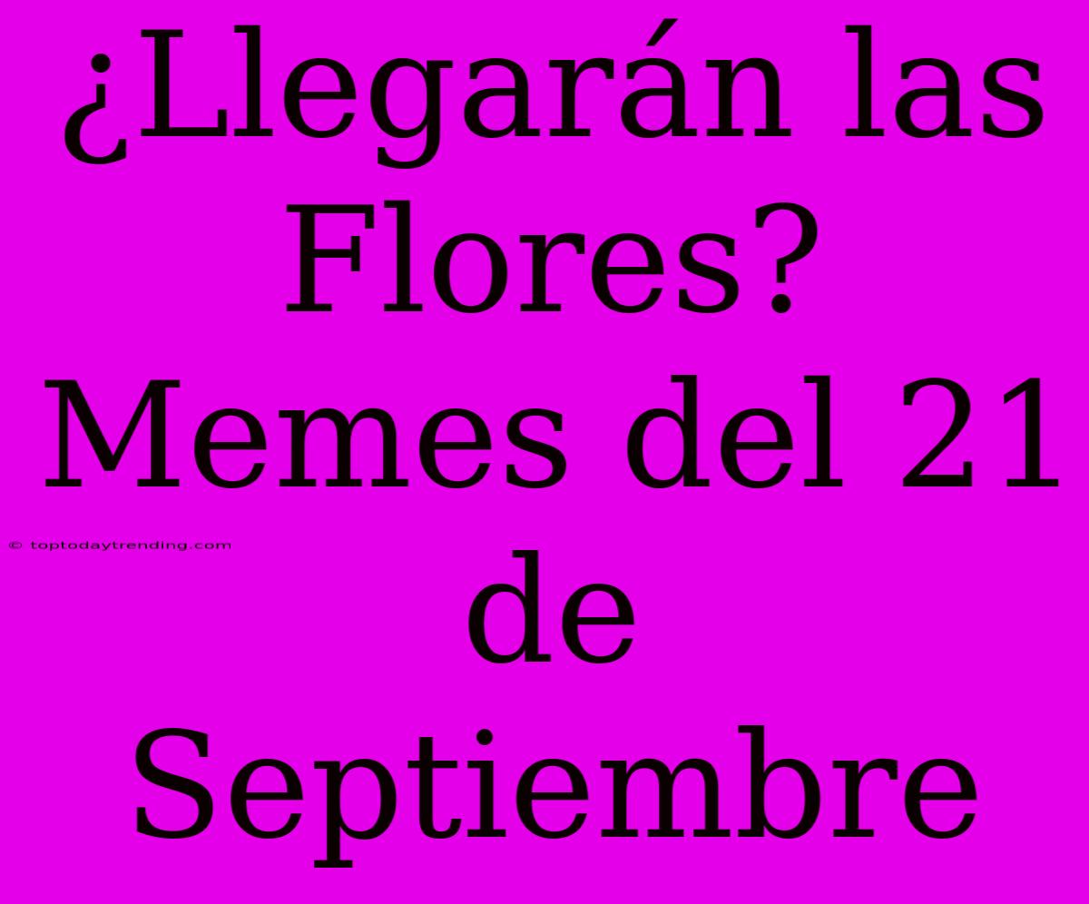 ¿Llegarán Las Flores? Memes Del 21 De Septiembre