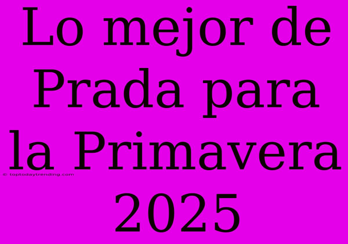 Lo Mejor De Prada Para La Primavera 2025