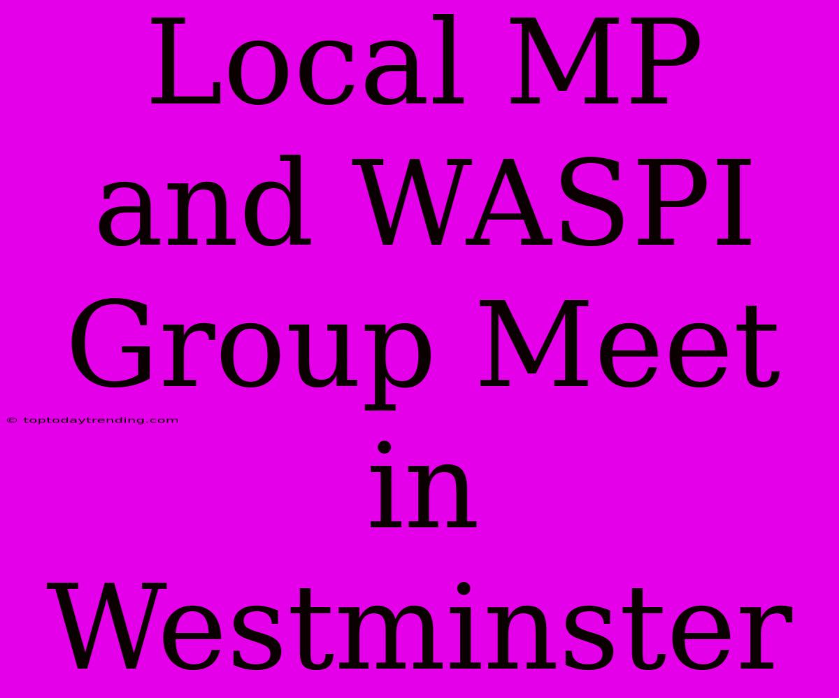 Local MP And WASPI Group Meet In Westminster