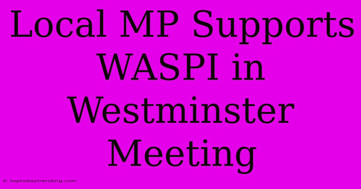 Local MP Supports WASPI In Westminster Meeting