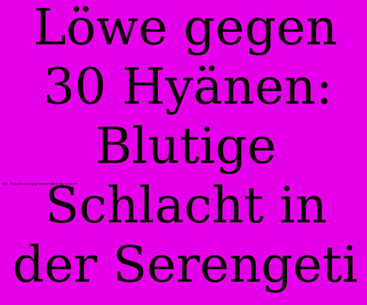 Löwe Gegen 30 Hyänen: Blutige Schlacht In Der Serengeti