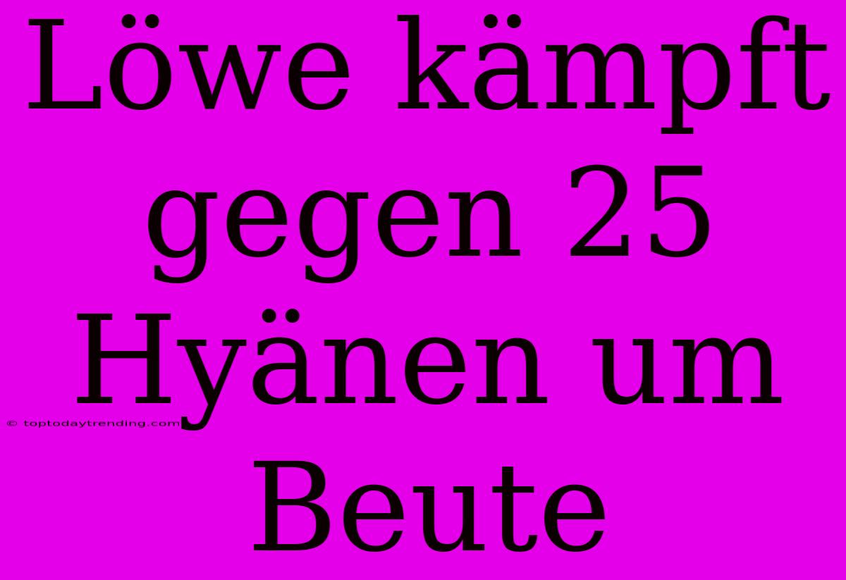 Löwe Kämpft Gegen 25 Hyänen Um Beute