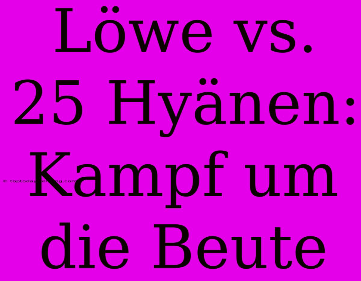 Löwe Vs. 25 Hyänen: Kampf Um Die Beute