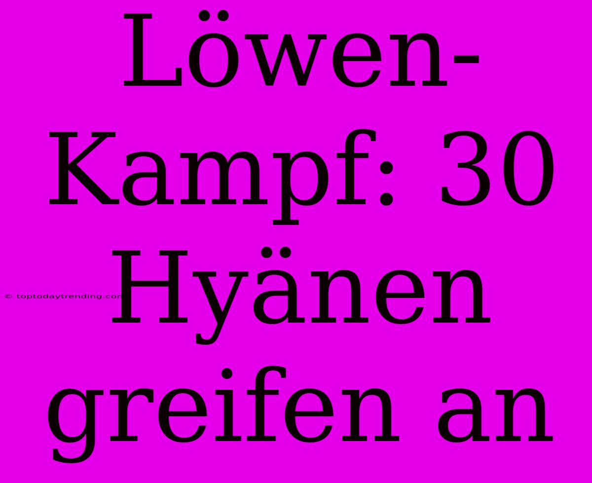 Löwen-Kampf: 30 Hyänen Greifen An