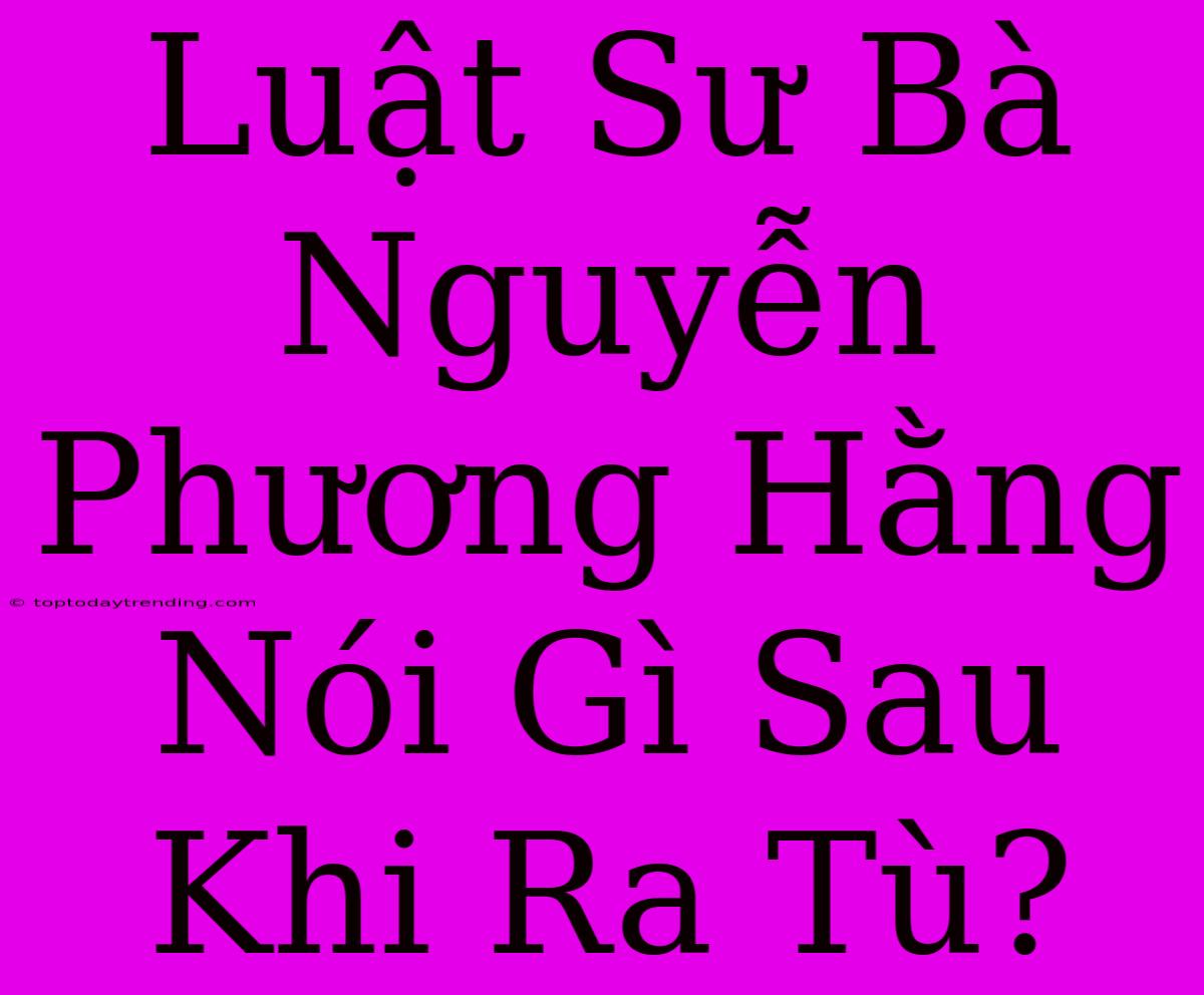 Luật Sư Bà Nguyễn Phương Hằng Nói Gì Sau Khi Ra Tù?