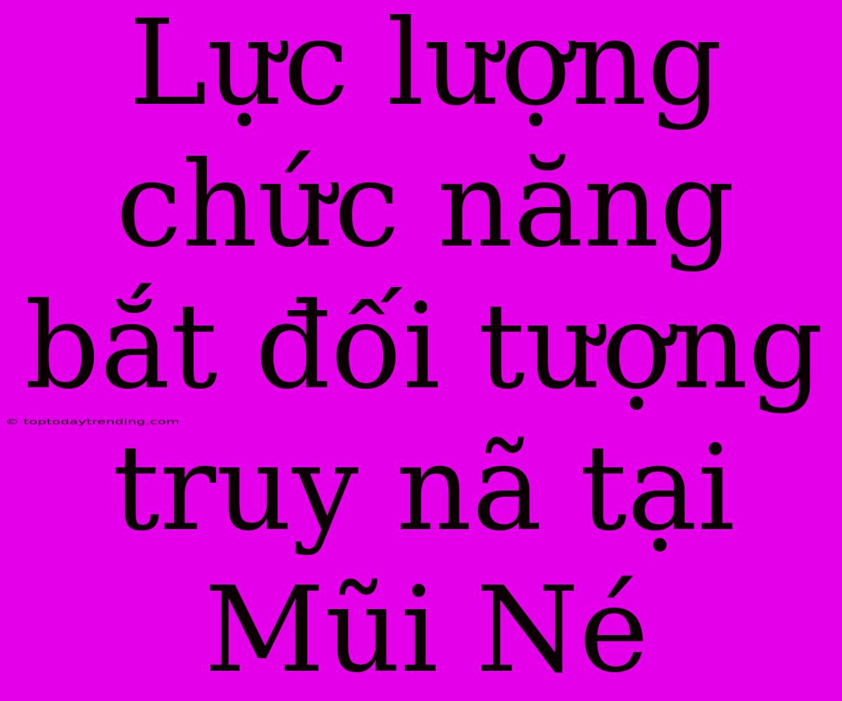 Lực Lượng Chức Năng Bắt Đối Tượng Truy Nã Tại Mũi Né