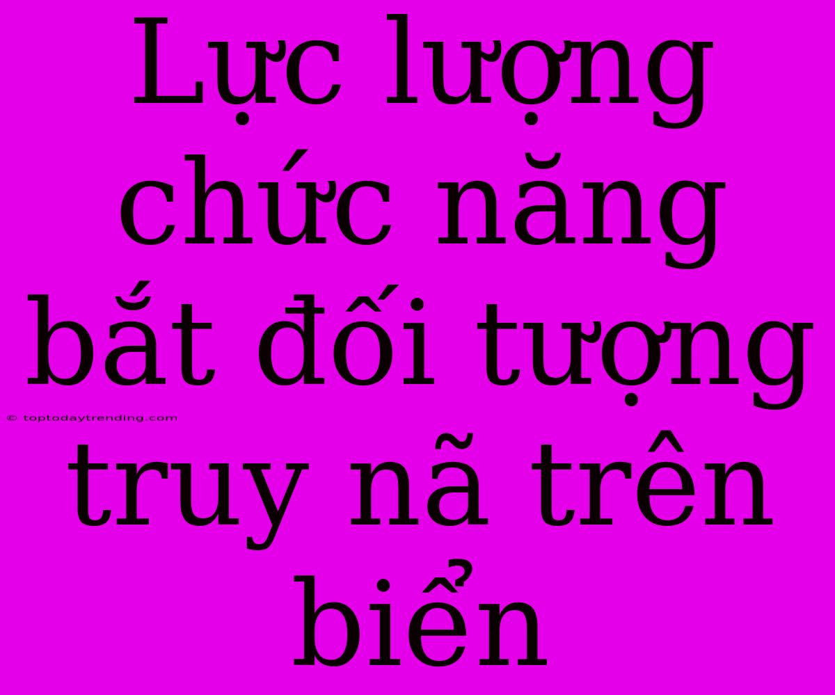 Lực Lượng Chức Năng Bắt Đối Tượng Truy Nã Trên Biển