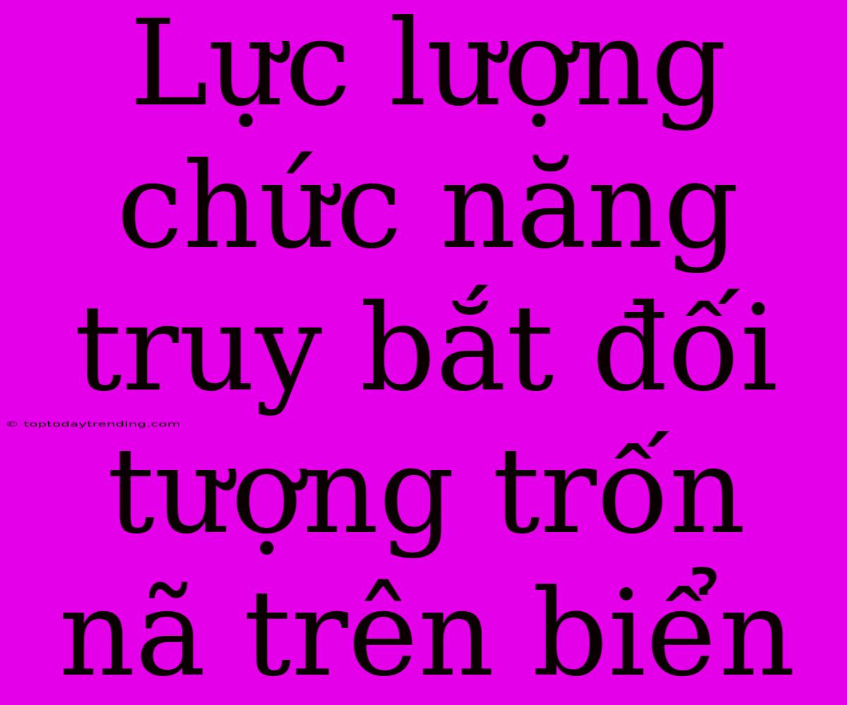 Lực Lượng Chức Năng Truy Bắt Đối Tượng Trốn Nã Trên Biển