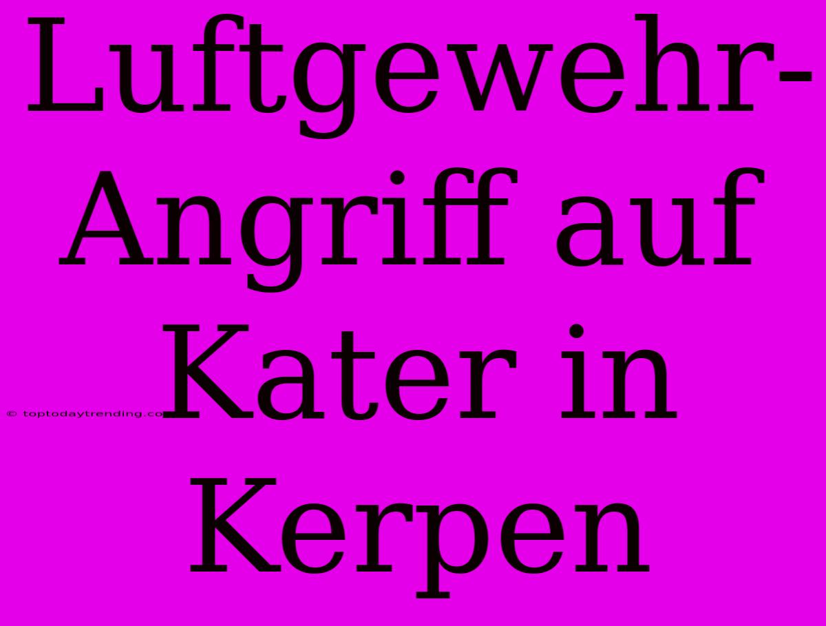 Luftgewehr-Angriff Auf Kater In Kerpen