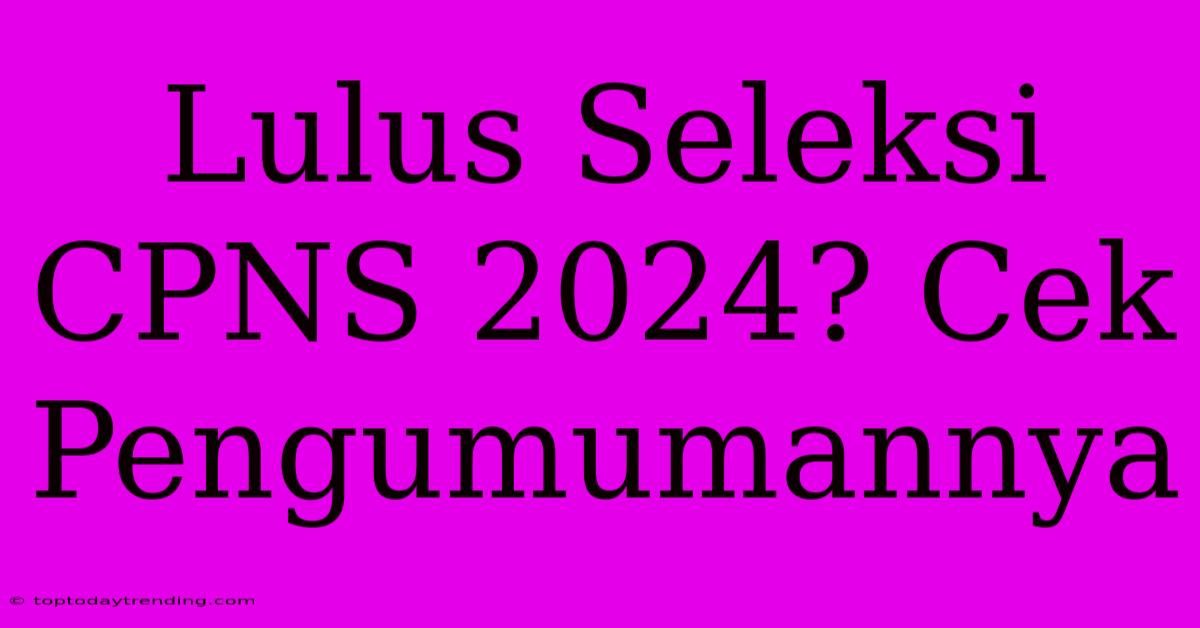 Lulus Seleksi CPNS 2024? Cek Pengumumannya