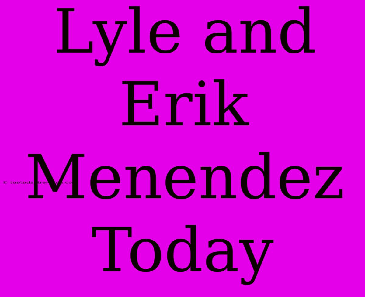 Lyle And Erik Menendez Today